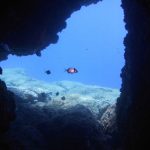 Scuba Diving in Naxos PADI Nima Dive Center