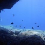 Scuba Diving in Naxos PADI Nima Dive Center